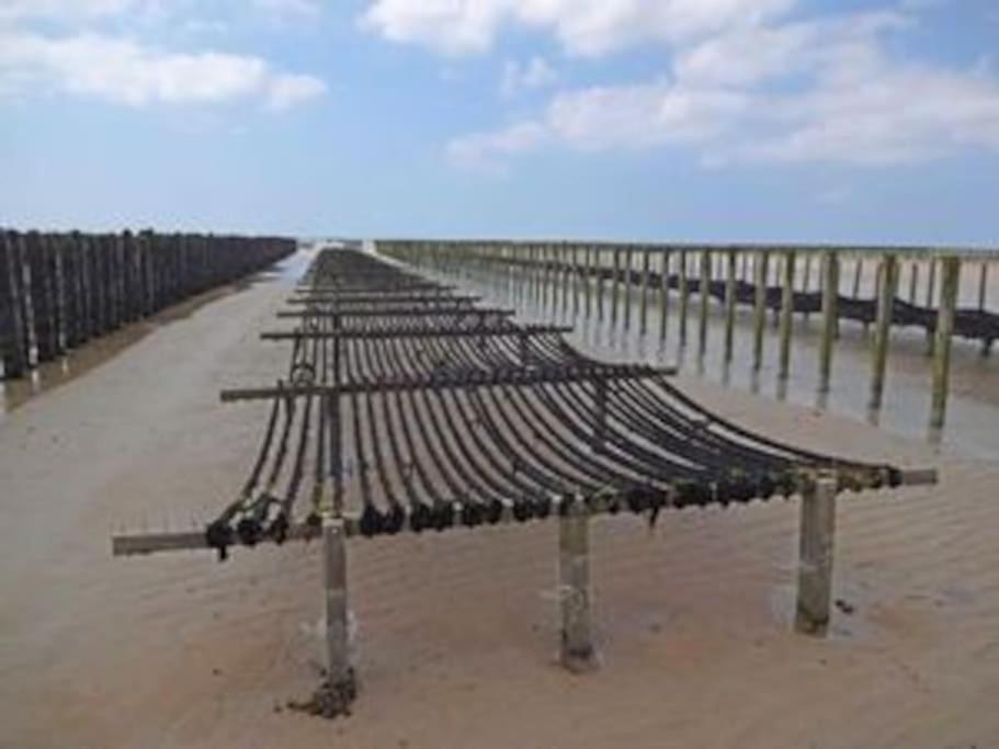 Maison Bord De Mer Individuel Gouville-sur-Mer Buitenkant foto